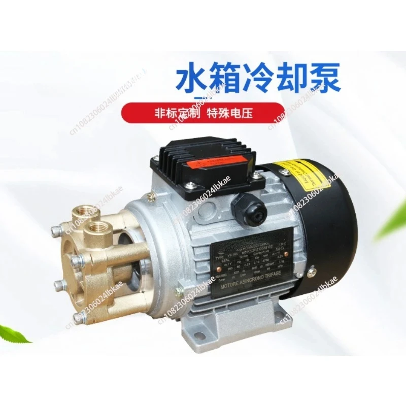 Hot Water Hot Oil Booster Pump Water Tank Cooling Circulating Pump Small Peripheral Pump