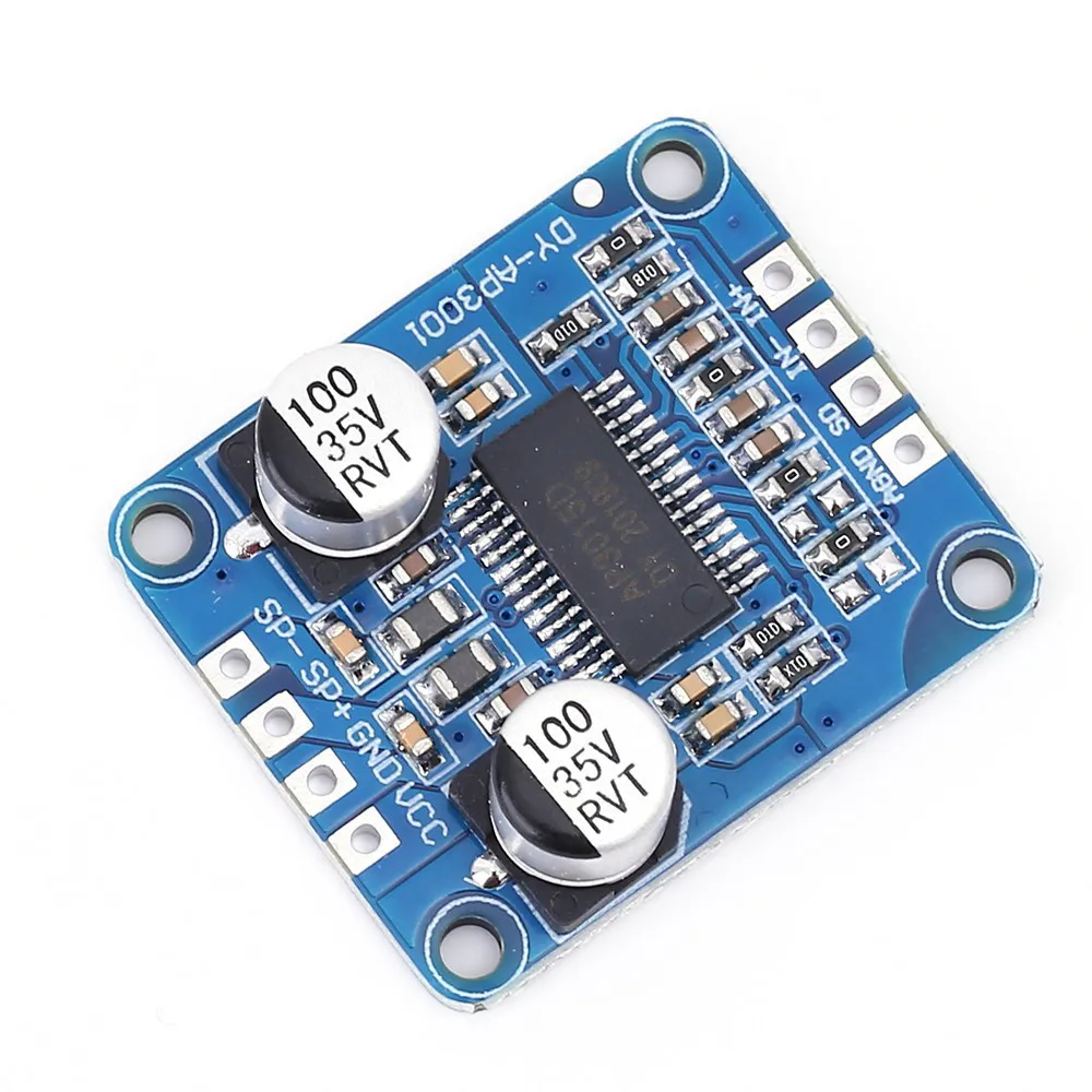 

2pcs DY AP3001 High Power Digital Amplifier Board Class D 10W 30W 12V 24V for DIY Speaker System