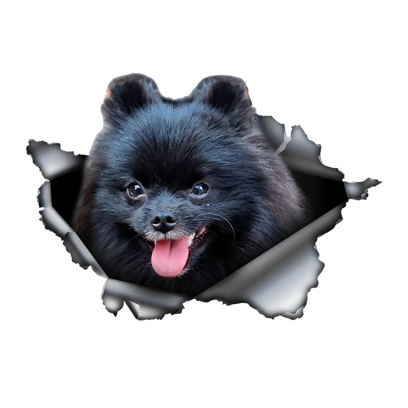 

DK389# Black and Brown Cavalier King Dog 3D Break the Wall Car Sticker, Waterproof Vinyl Material Accessories, Interesting Creat