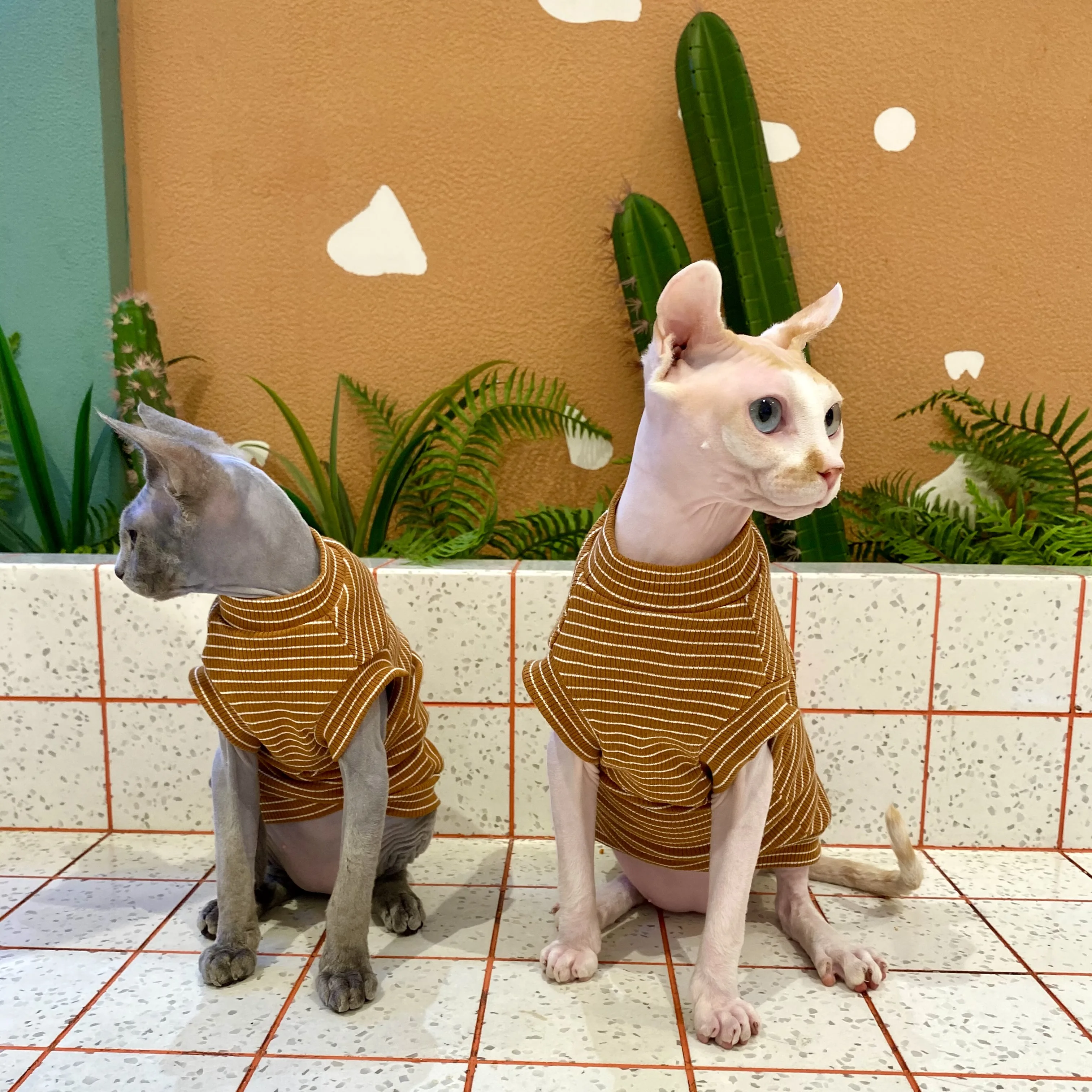 Spring Cotton Pet Cat Clothes for Cats Gotas Mascotas Clothing Sweet Stripe Sphynx Cat Devon Rex Vest Shirt ubranie dla kota