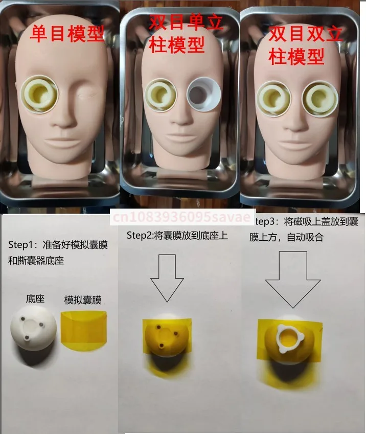 Ophthalmic Surgery Practice Model Animal Eye Pig Eye Practice Ophthalmic Head Model