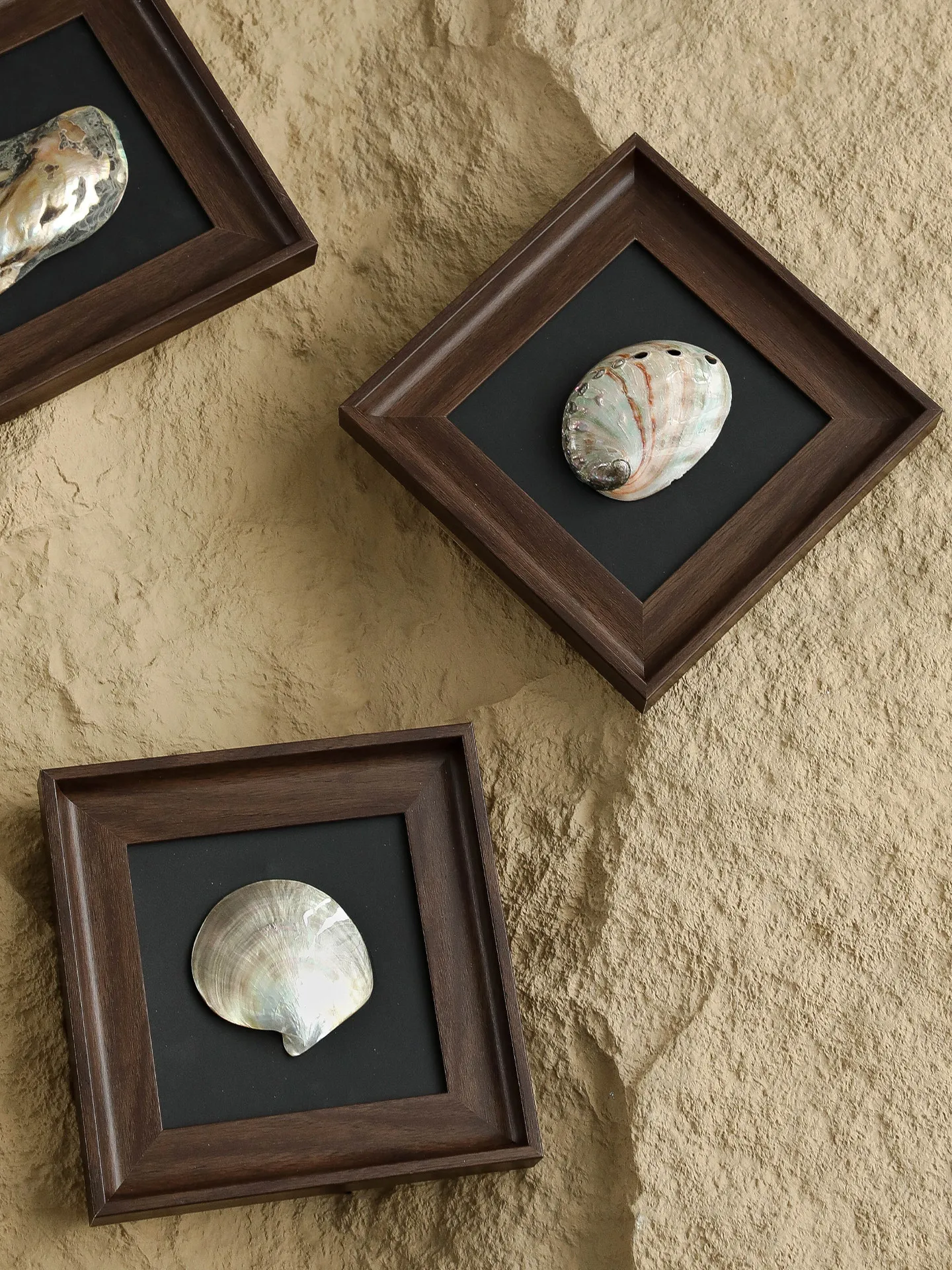 Handcrafted Natural Conch & Seashell Framed Display Art, Mid‑Century Modern Desktop Home Decor Ornament