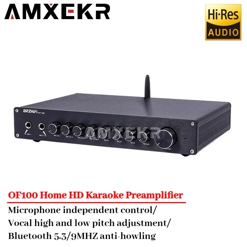 OF100 profesional KTV Home HD Karaoke preamplificador efector mezclador Anti-howling Bluetooth 5,3 M65831 Mezclador Chip Phono preamplificador