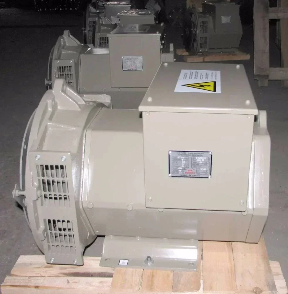 

Brushless Alternator with Double Bearing, Available in 40kVA–250kVA