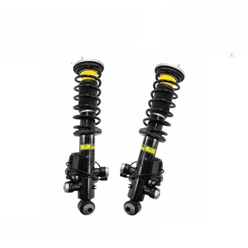 2 Rear Shock Absorb…