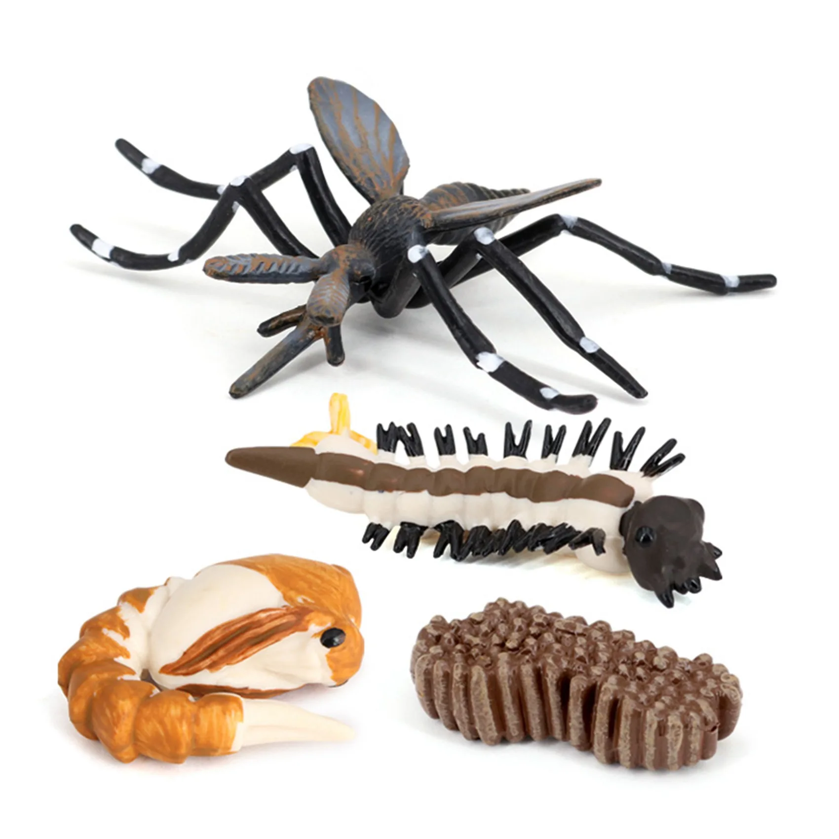 Simulation Animals Growth Cycle Mosquito Insect Growth Cycle Model Kids Educate Cognitive Toy Black Mosquito