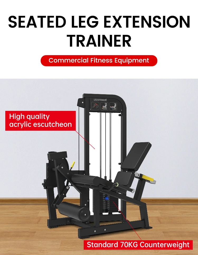 

Adjustable Professional Seated Leg Extension Trainer for Effective Leg Strength Training