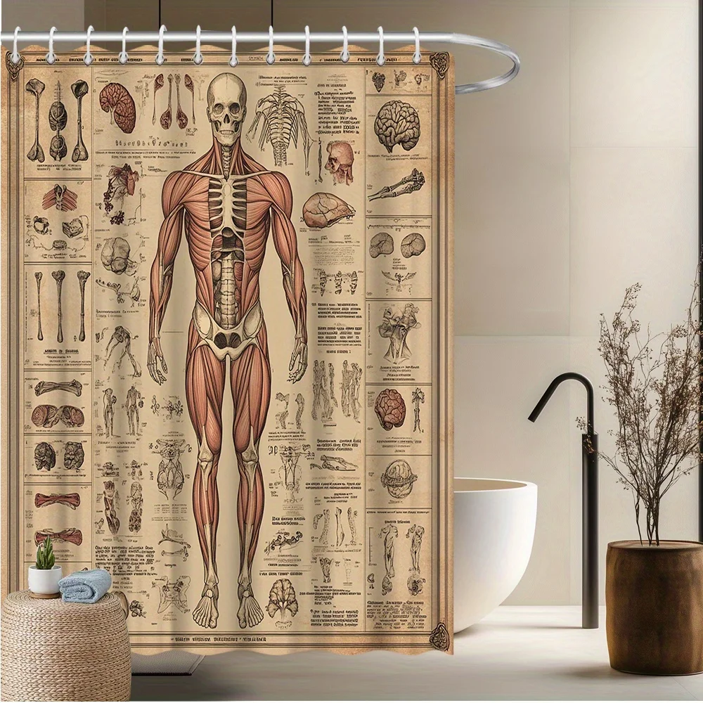 Waterproof Anatomical Human Body Skeleton Science Shower Curtain Diagram Educational Art Poster Bathroom Decoration