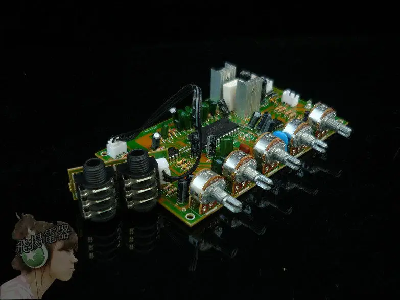 H Karaoke Microphone Board with 4558 Pre-amplifier M65831ok Board Reverb Board Effect Super Pt2399 view 2
