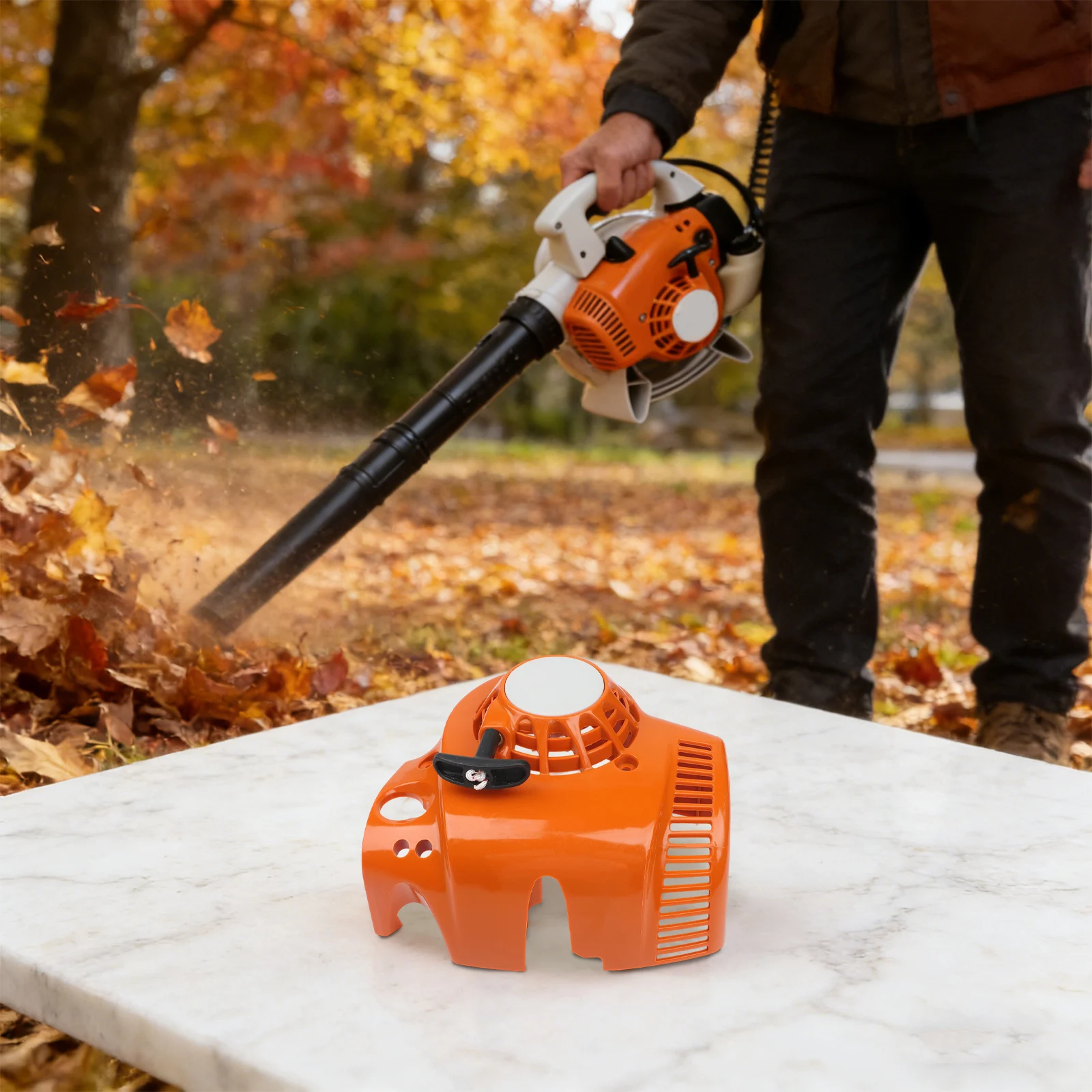 4241-080-2110 Backl…