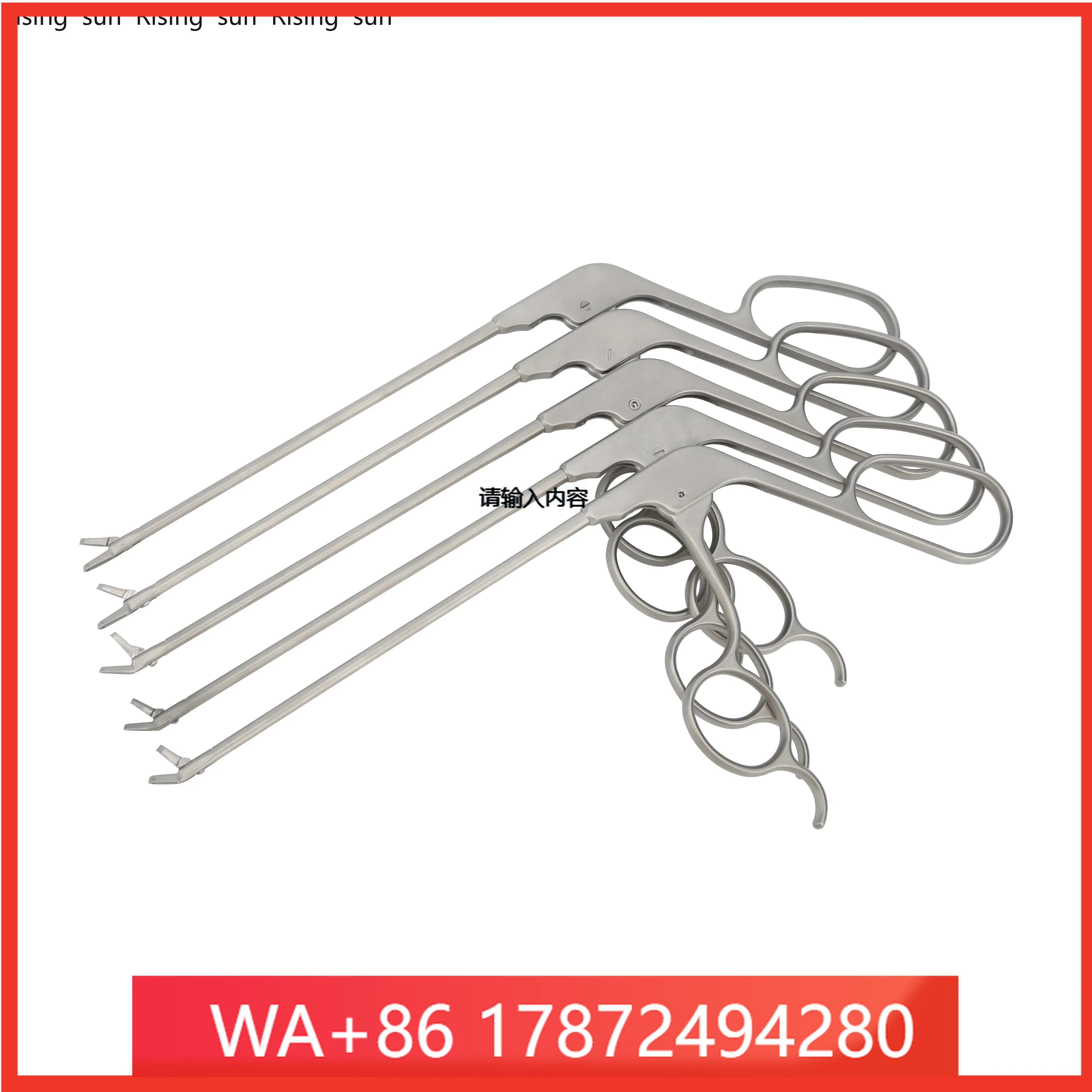 Rsle ENT Instruments ENT Punch Forps / Tissue Forps