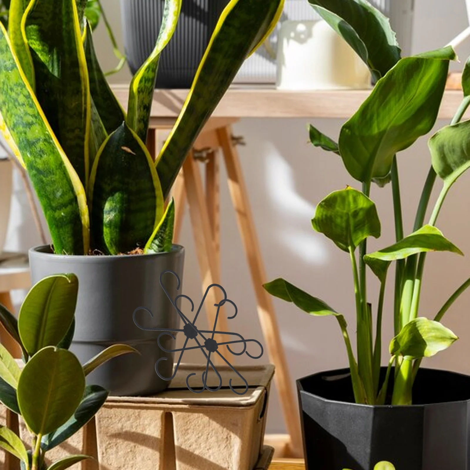 

4pcs Plant Support Frame Sturdy Climbing Clips Black Abs Plants Stem Holder Reusable Trellis Indoor Outdoor Gardening