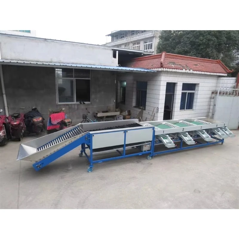 Drying Grading Machine for Fruit Vegetables Efficient Potato Onion Sorting Line High Efficiency