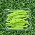 0009 30PCS 05