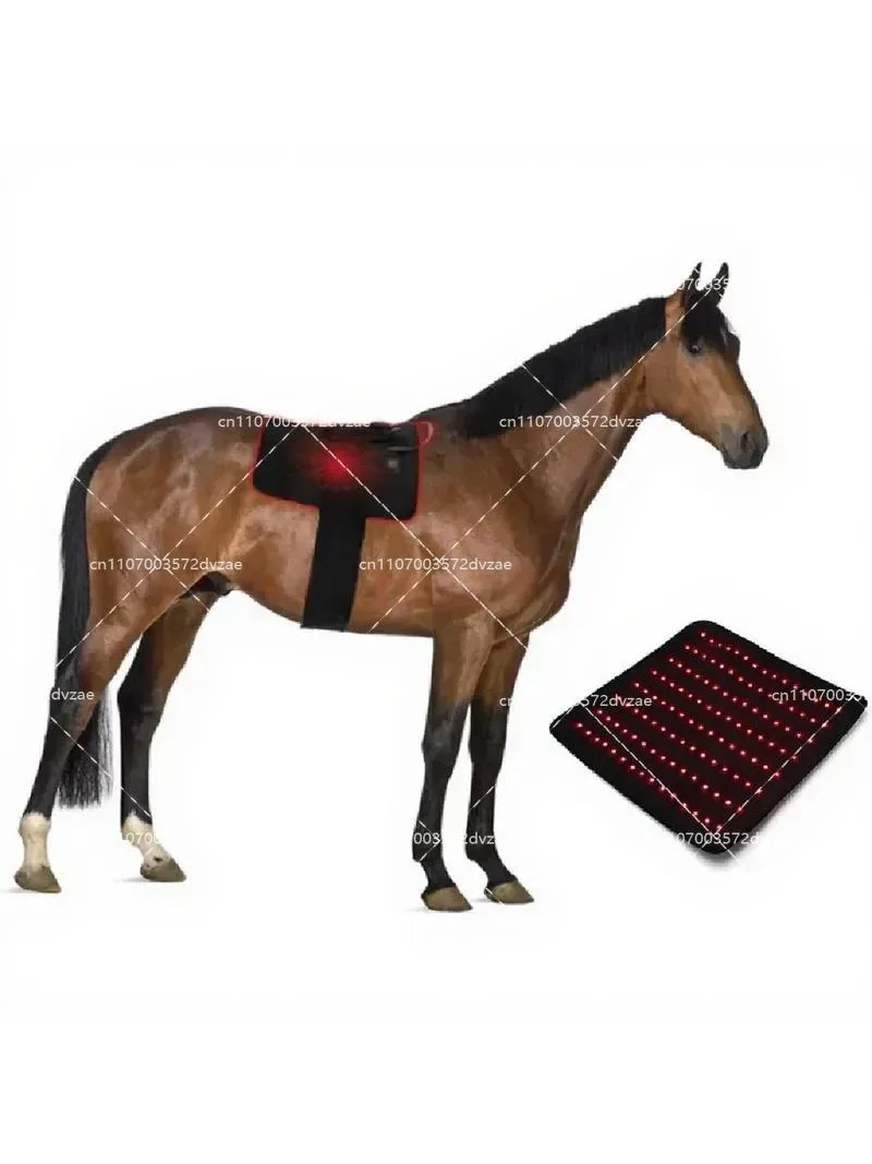 660nm 850nm Red Infrared Light Therapy for Pets Horse Dog Knee Joint Care
