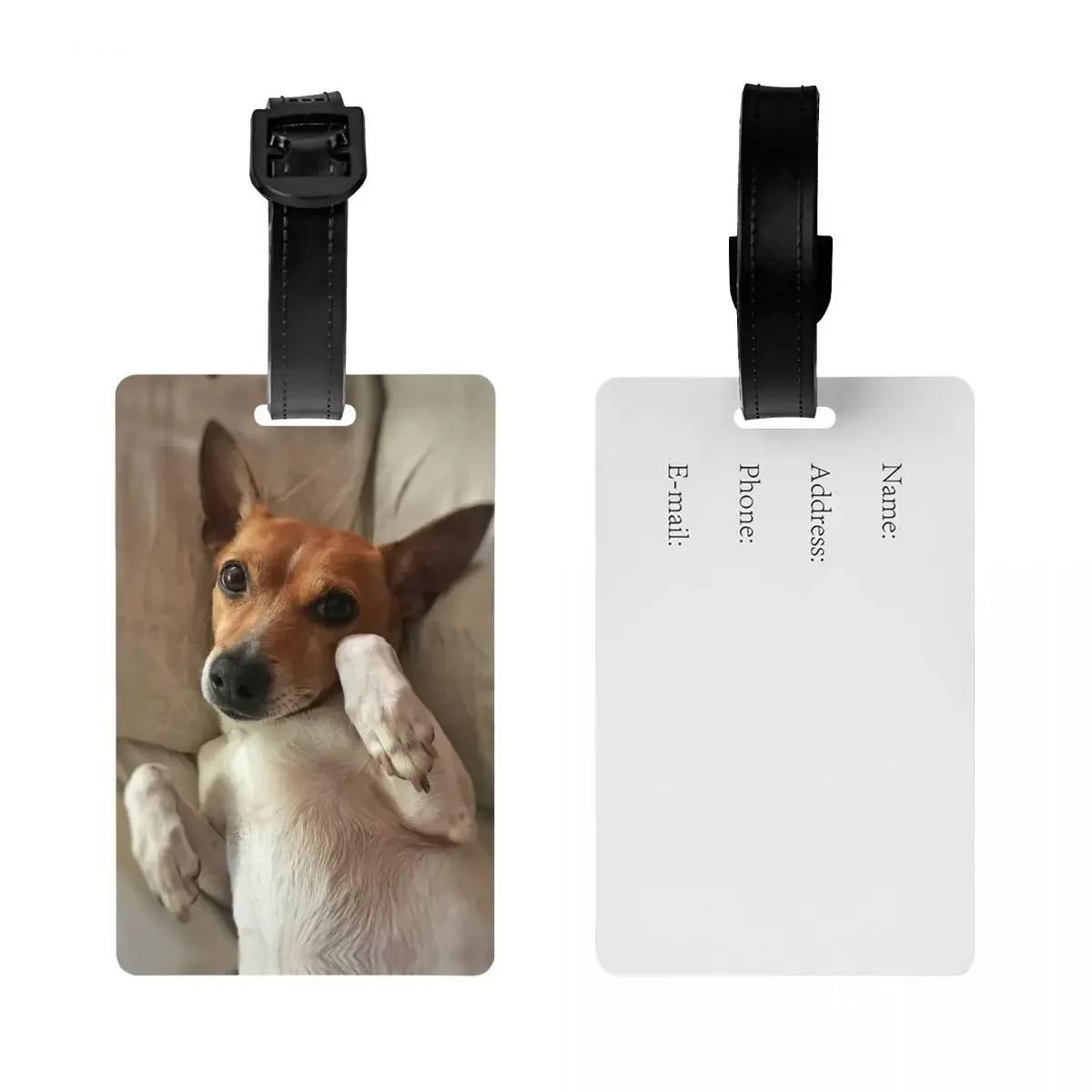 Funny Jack Russell Terrier Meme Luggage Tags for Suitcases  Dog Lover Baggage  Privacy Cover ID Label