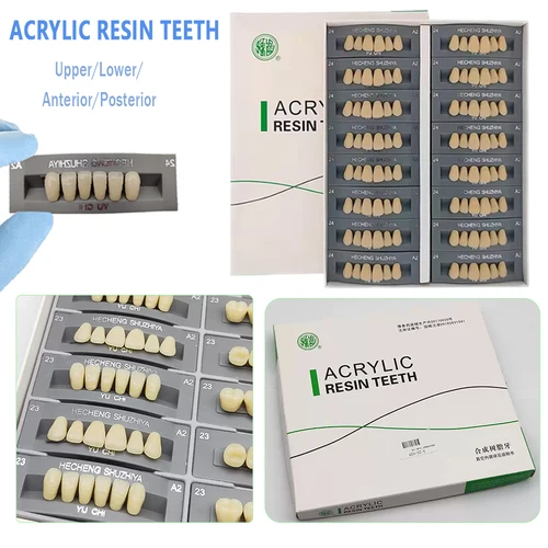 96 unids/caja Dental de resina sintética, dientes multicapa de Color, modelo educativo Posterior anterior, reparación acrílica de diente temporal falso