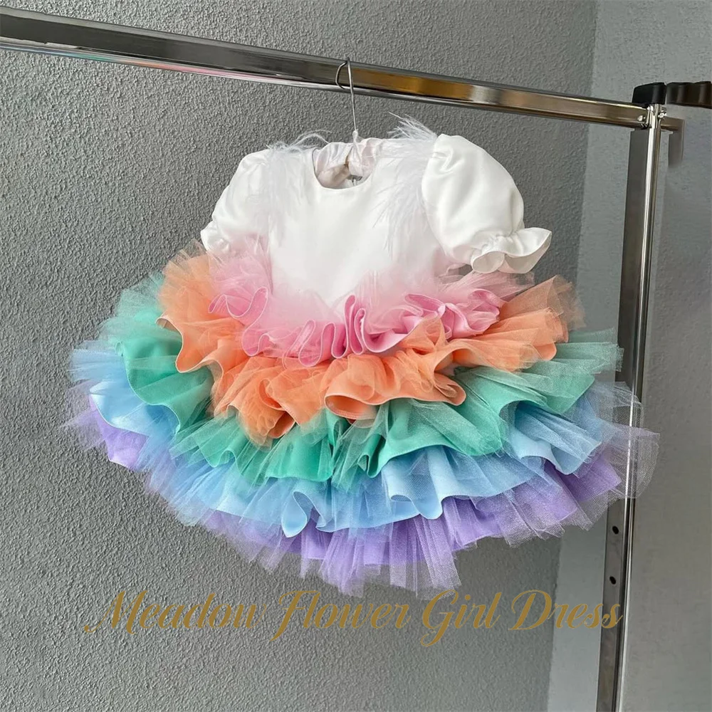 

Meadow White Bodice and Rainbow Ombre O Neck Flower Girl Dress Short Sleeve Kids Birthday Party Dress Tutu Fluffy Prom Gown