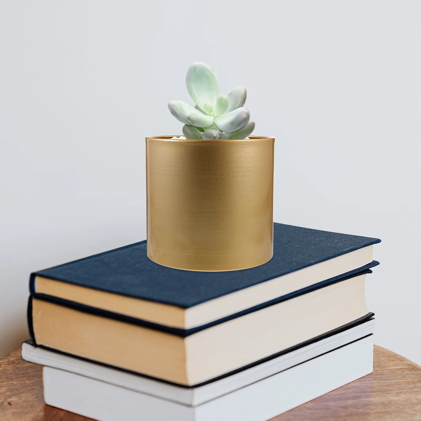 

Hug Bucket Flower Pot Outdoor Plant Planter Goldendoodle Ornament Iron Large Pots Succulent Modern Desktop