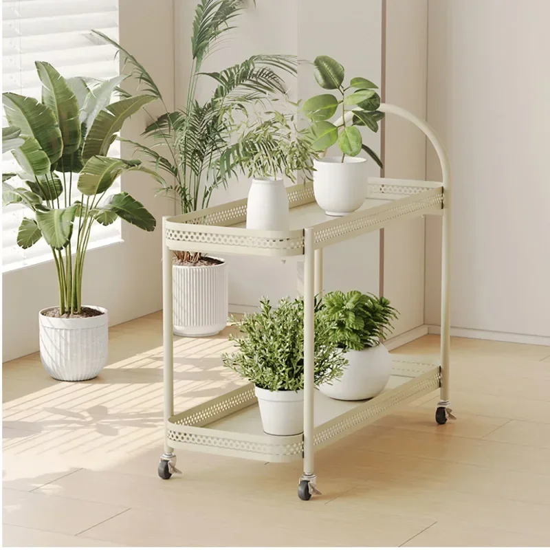 Iron Baked Paint Decorative Shelf 2 Layers Mobile Plant Stand Living Room Balcony Flowers Rack Versatile Practical Indoor Garden