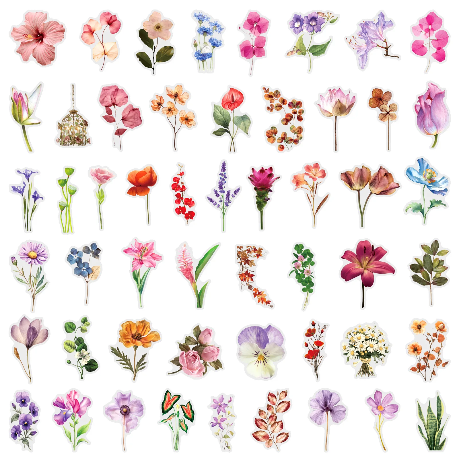 50Pcs Transparent Flower Plant Material Stickers Skateboard Laptop Luggage Phone Case Motorcycle Bike Waterproof Kids Sticker