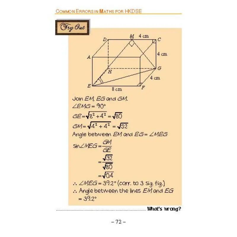 Common Errors In Math  Geometry  Data Handling A Chow Jointus 9789881972903 Book