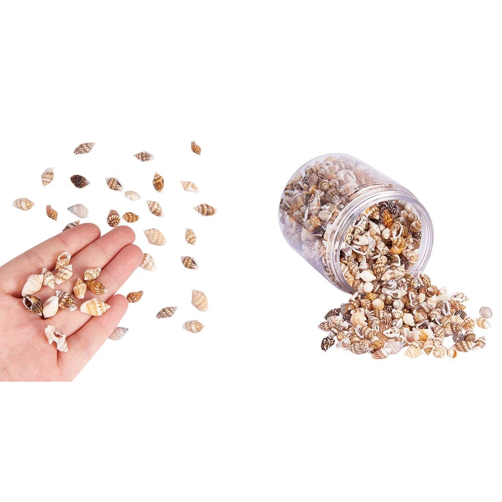 

1500pcs 1300~ Shell Beads Natural Sea Shells For Diy Jewelry Craft Accessories Wedding Decor Hair Braids Headdress Clothing