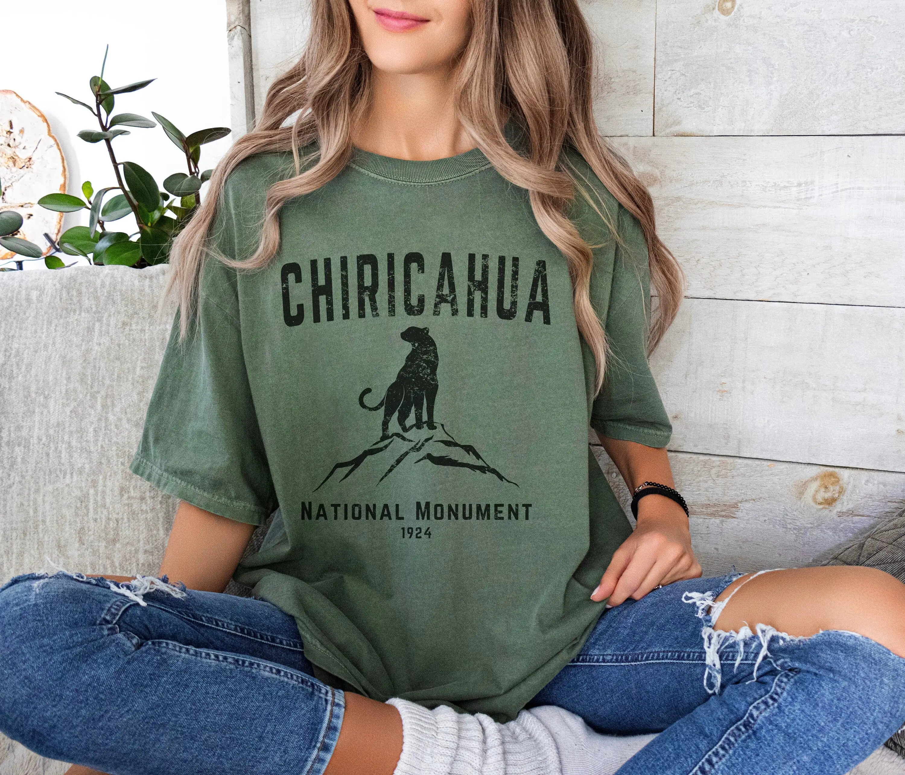 Chiricahua National Monument Arizona T Shirt Hiking