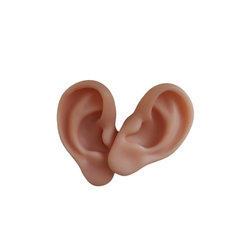 Ear model silicone simulation ear silicone fake ear model ear picking props learning primary