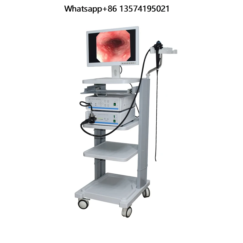 

Hot Sale Medical Flexible Single-Use Gastroscope Digital Ureteroscope with HD