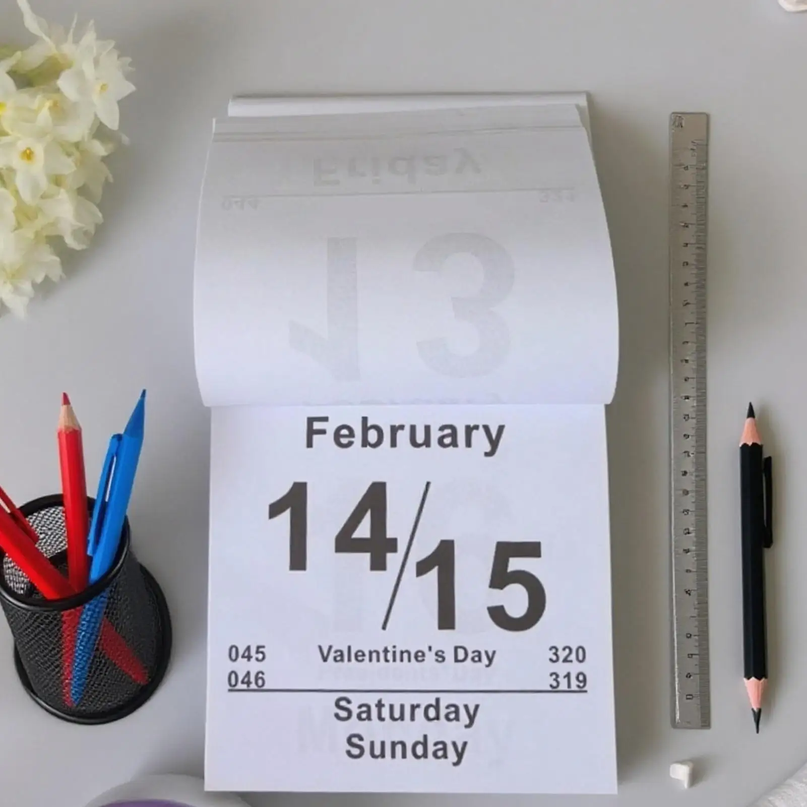 

2026 Wall Calendar Tear-Off Agenda Planner Whole Year Desk Wall Daily Calendar For Students Kids Teens Adults Teachers Friends