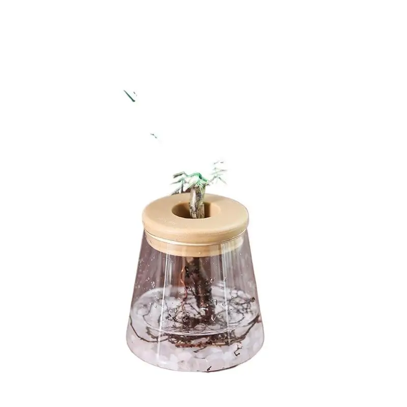 Hydroponic Planter Clear Glass Vase Geometric Design with Wood Lid for Water Plant Desktop Decor