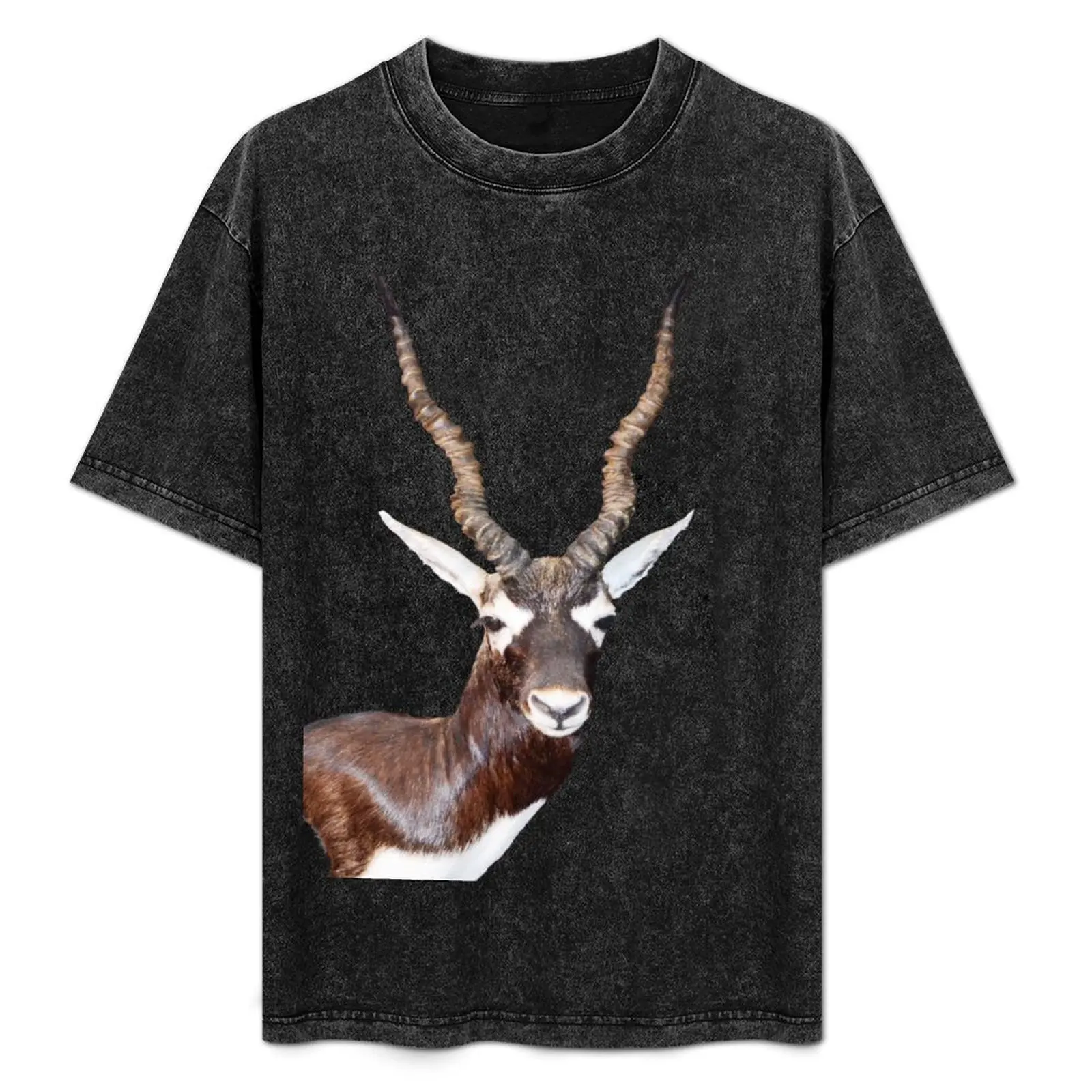 

Texas Blackbuck Antelope - photo by Dody Denman T-Shirt Louboutins shirts graphic tee t shirts men