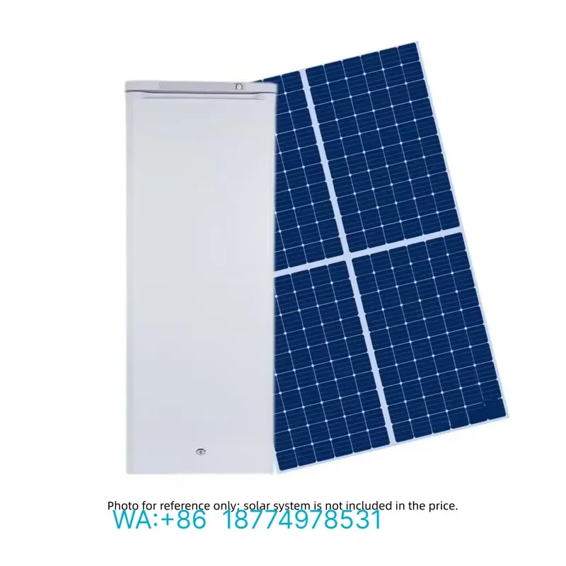 Solar 200L Upright Freezer with 6 Drawers BD-200 Top Quality Good Price