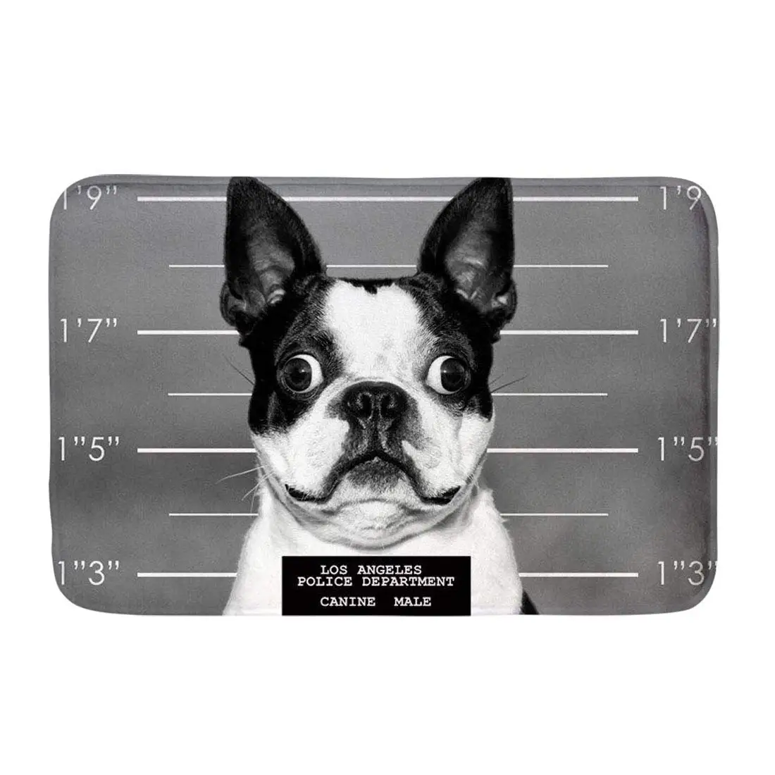 Funny Boston Terrier Doormats Anti-Slip House Garden Gate Carpet Door Mat Floor Pads