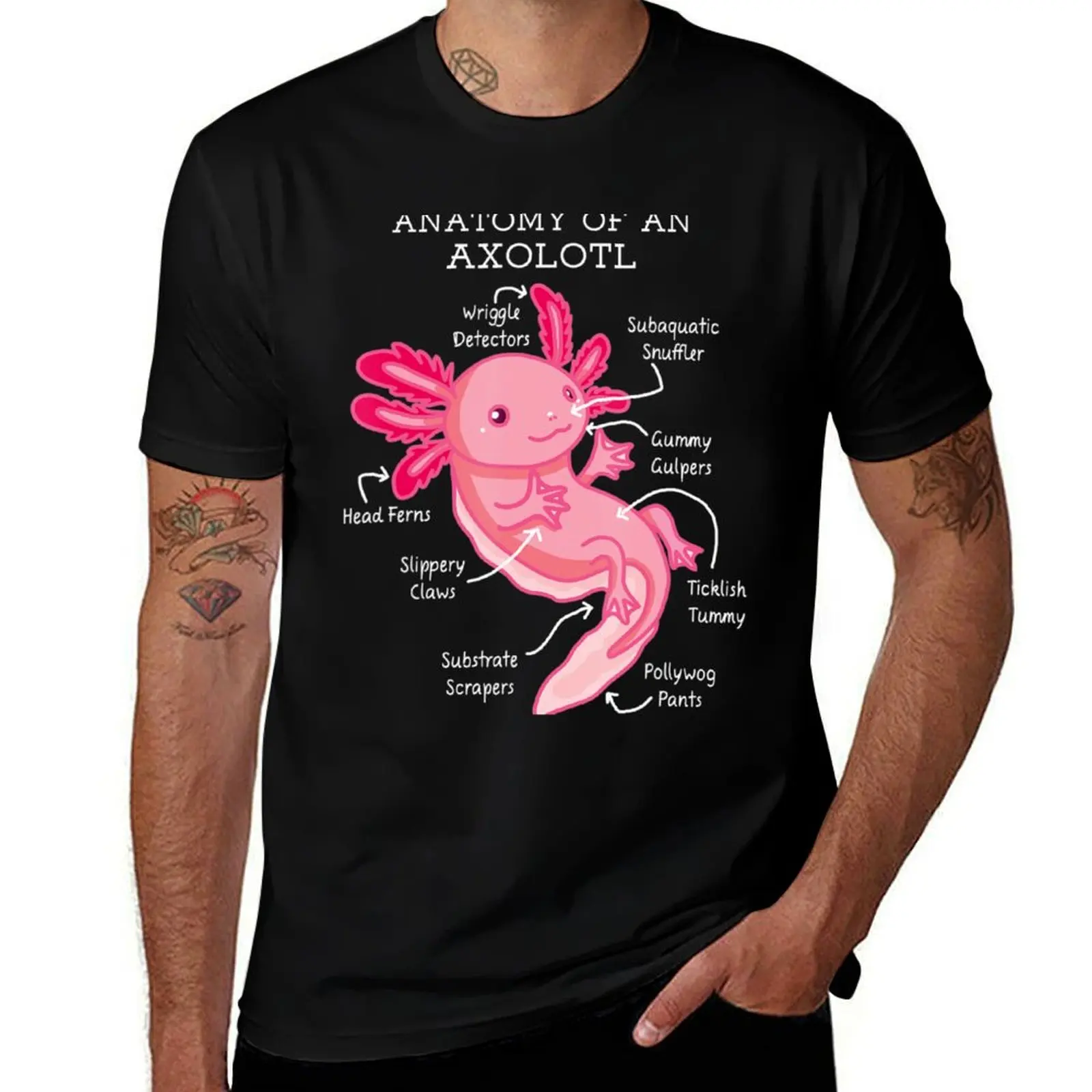 Anatomy Of An Axolotl Mexican Salamanders Funny T-Shirt Basic Crew Neck Short Sleeve Top T-Shirt