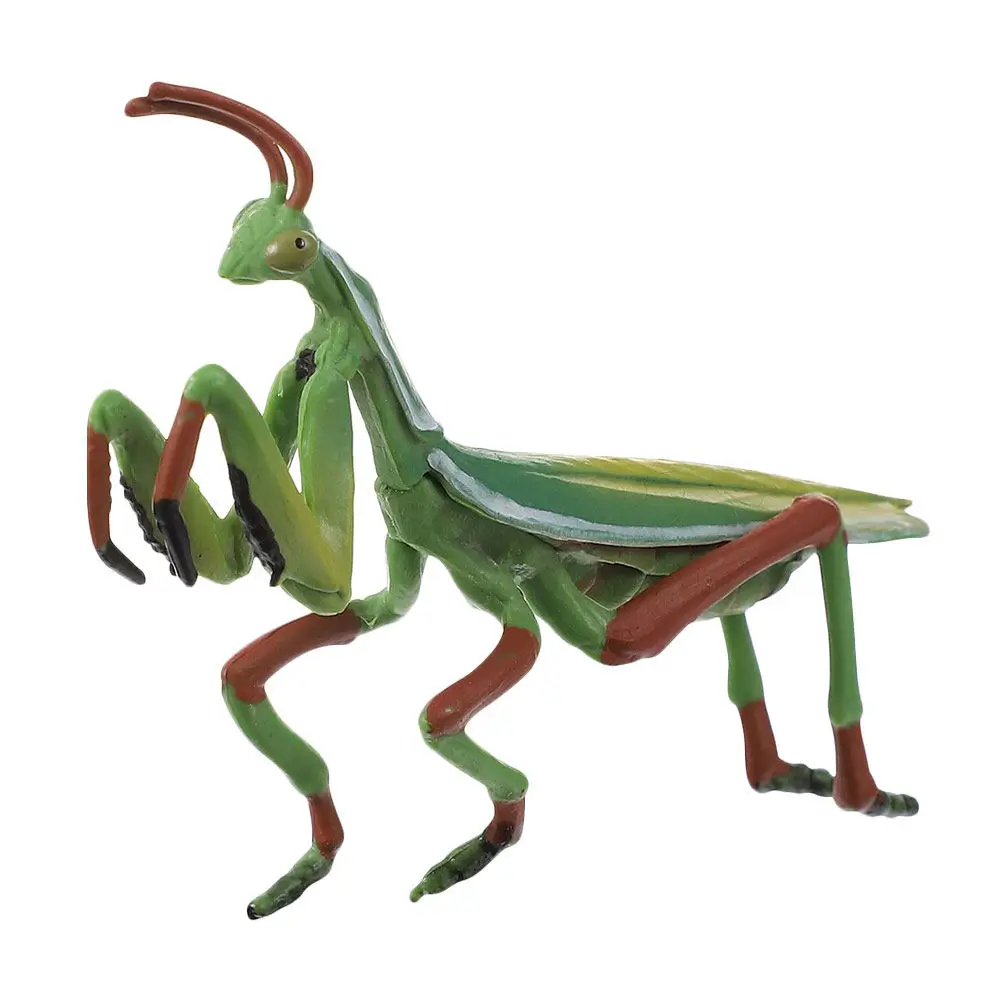 

1Pcs Detailed Plastic Mantis Sculpture Lifelike Shape Clear Texture Sturdy Home Office Decor Educational Tool Children Plaything