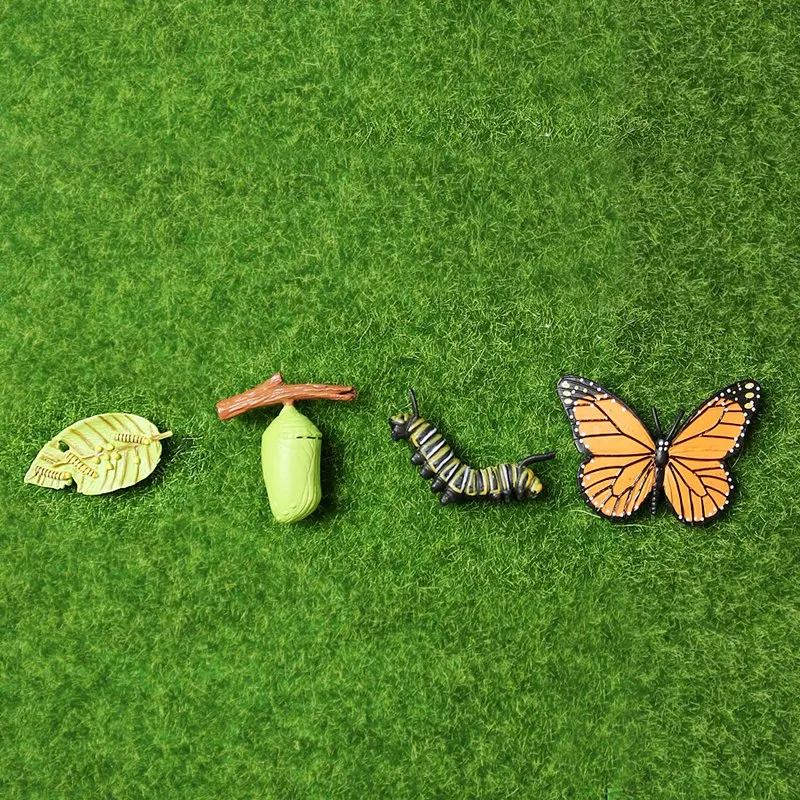 Figura del ciclo de vida de simulación AM de un ciclo de crecimiento de mariposa, insectos, animales, biología educativa, juguete científico