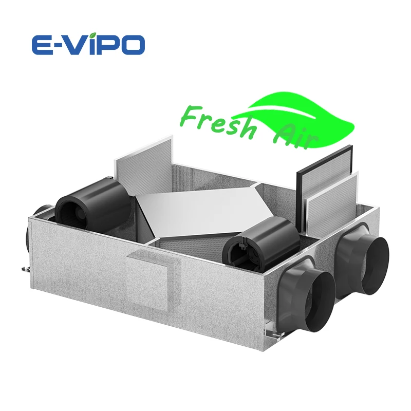 E-VIPO 2025 Fresh A…