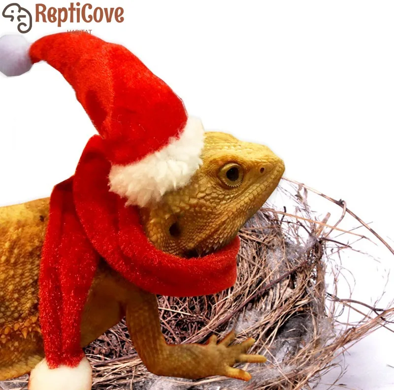 

Рождественский наряд ящерицы с поводком, рождественской шапкой для домашних животных и кожаными крыльями для восхождения домашних животных, поводок для прогулок, ящериц, маленьких рептилий