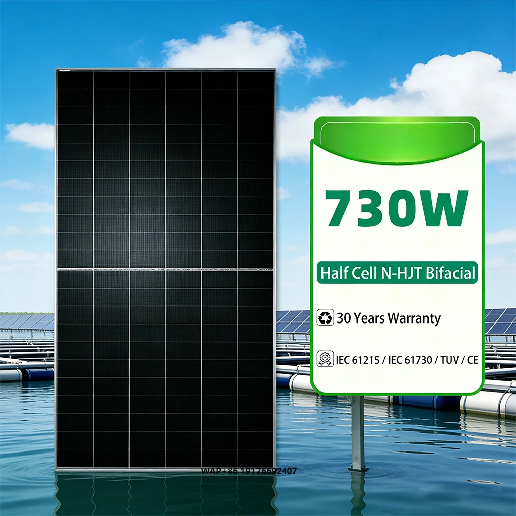 Bluesun New Arrival…