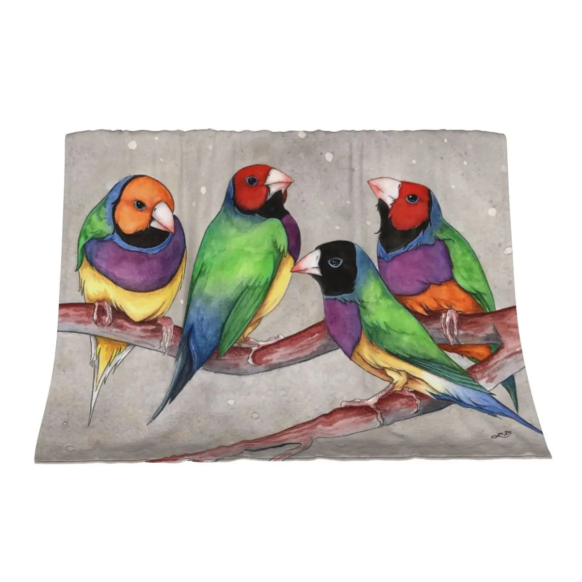 

Gouldian Finch Throw Blanket Blankets Sofas Of Decoration warm for winter valentine gift ideas Hairys Blankets