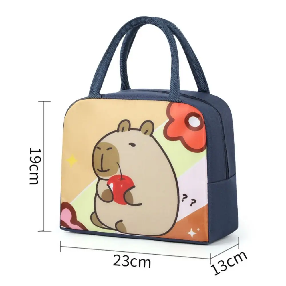 Large Capacity Insulated Lunch Bag Multicolor Waterproof Aluminum Foil Handbag Cartoon Pattern Insulated Lunch Box Bag Worker