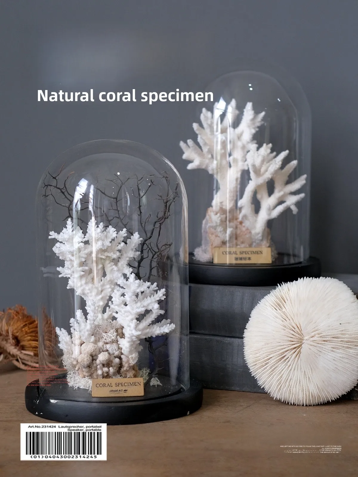 

l Coral Specimen Modern Luxury Sample Room Nordic Wabi-Sabi Sle Creative Home Decorations Display Piece for S