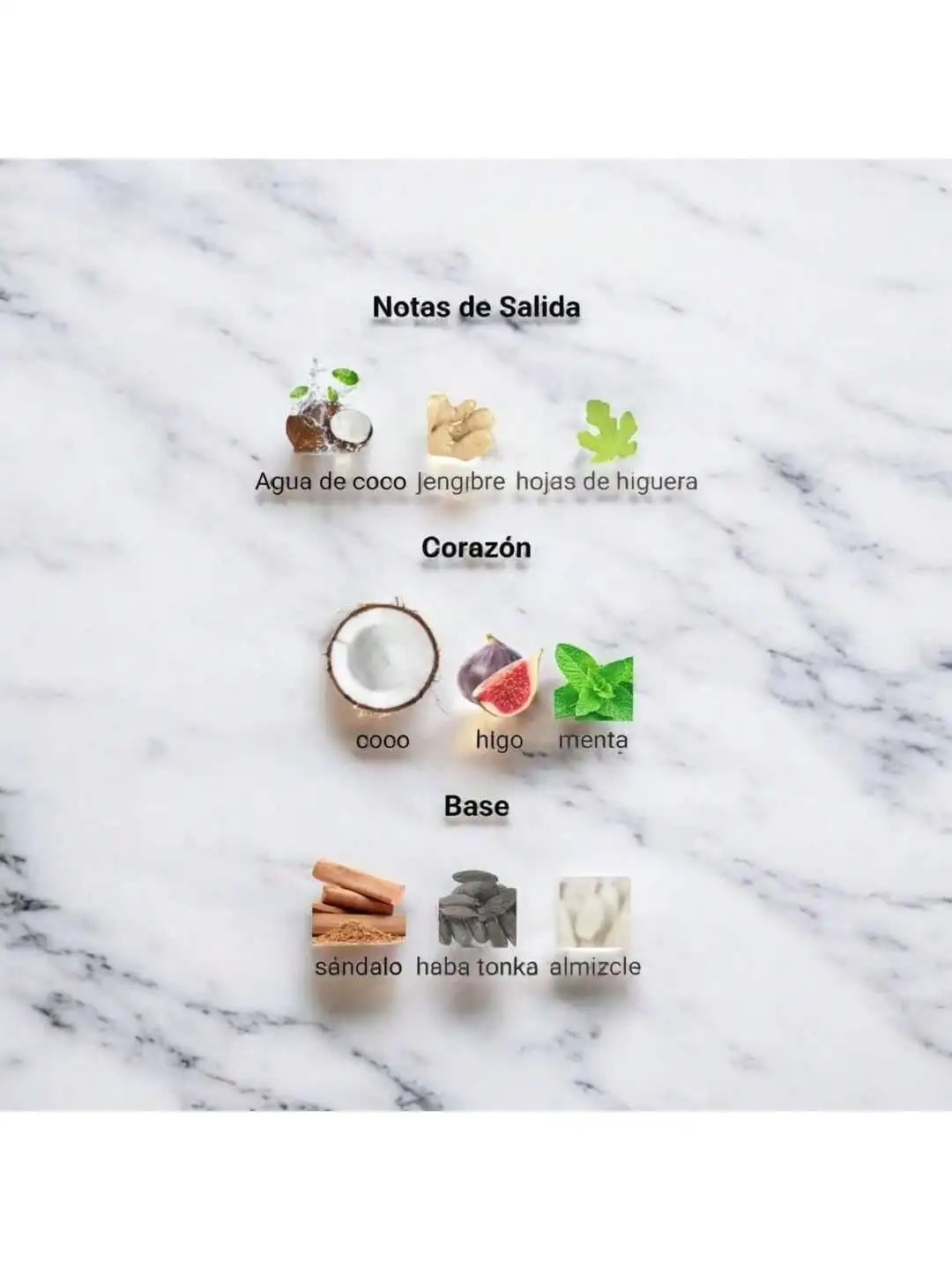 رسااسي هاواس الاستوائية أو دو برفوم - رائحة استوائية طازجة، تدوم طويلاً لملابس الصيف