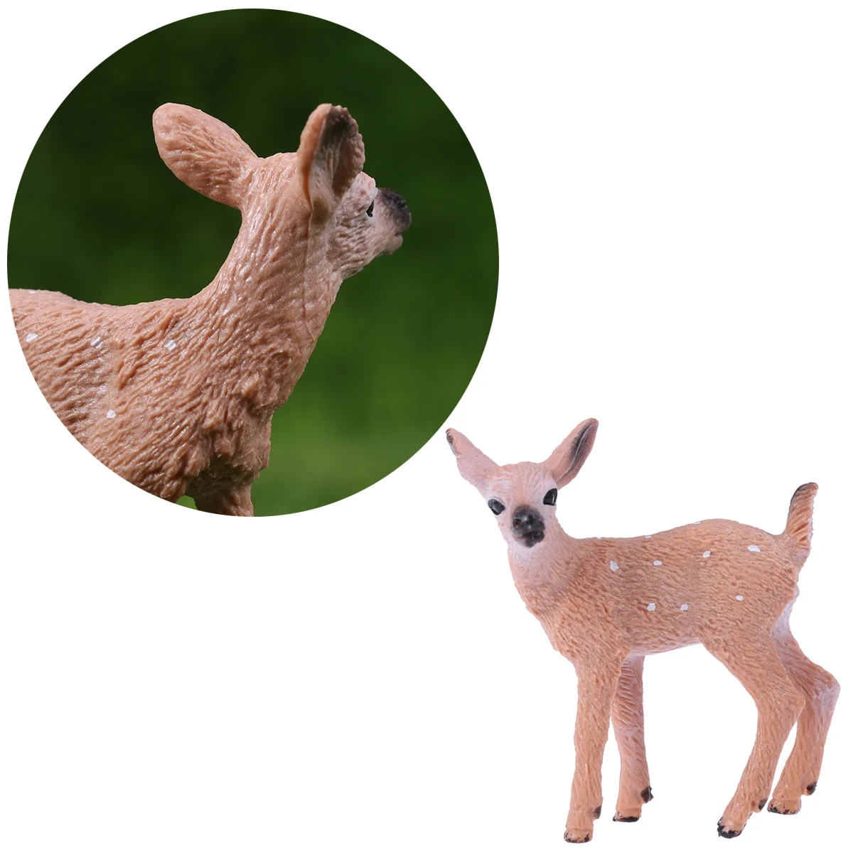 

Educational Kids Children Childrens Odocoileus Virginianus Model Deer Cake