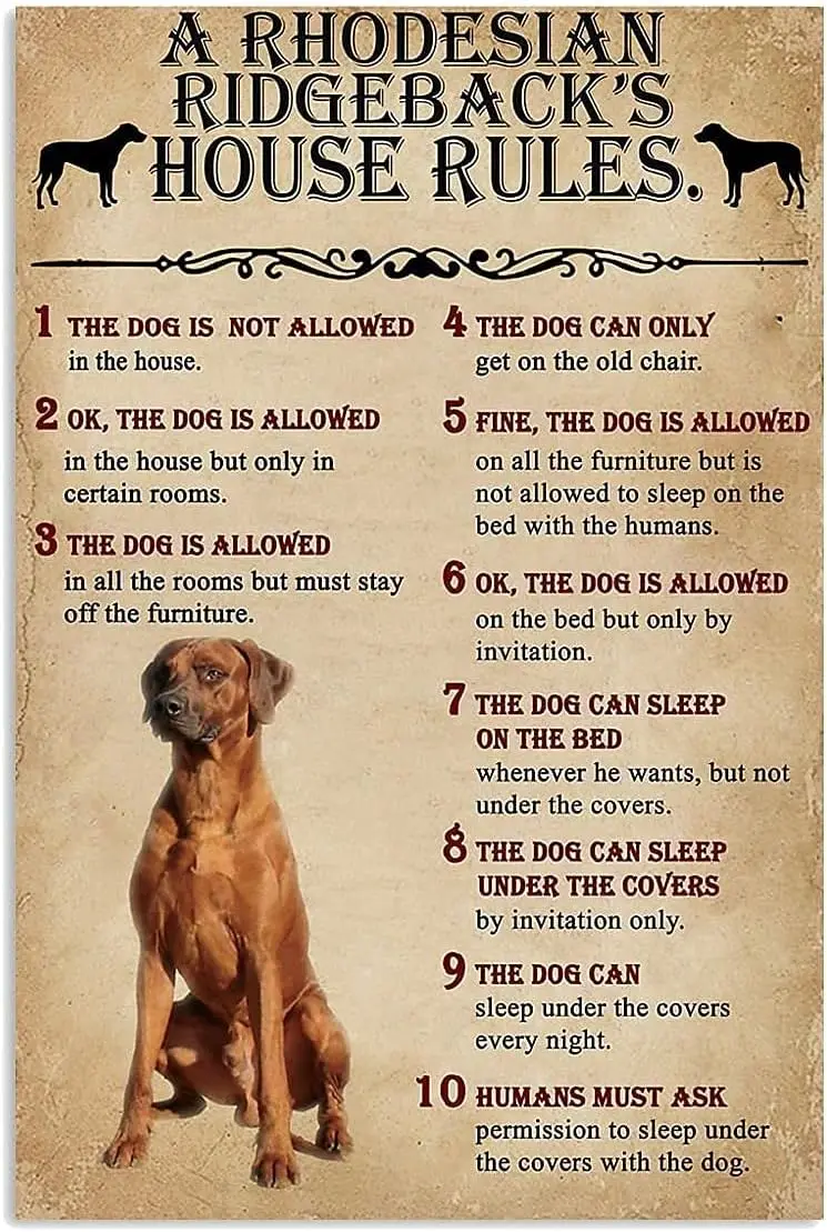 The Dog House Rules A Rhodesian Ridgeback Vintage Style Metal Tin Sign Home,Living Room,Kitchen,Dining Room,Bedroom,Farmhouse,Wa