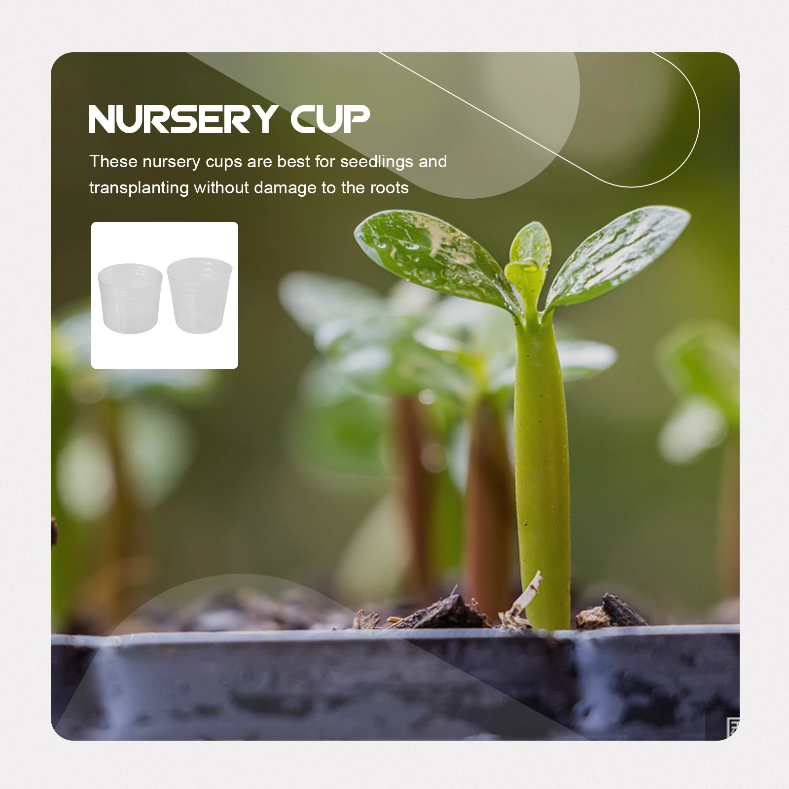 

50 Set Nursery Cups Plant Pots PP Plastic Holes Garden Seedlings Transplanting Hydroponic Growth Media Flowers Herbs Tomato