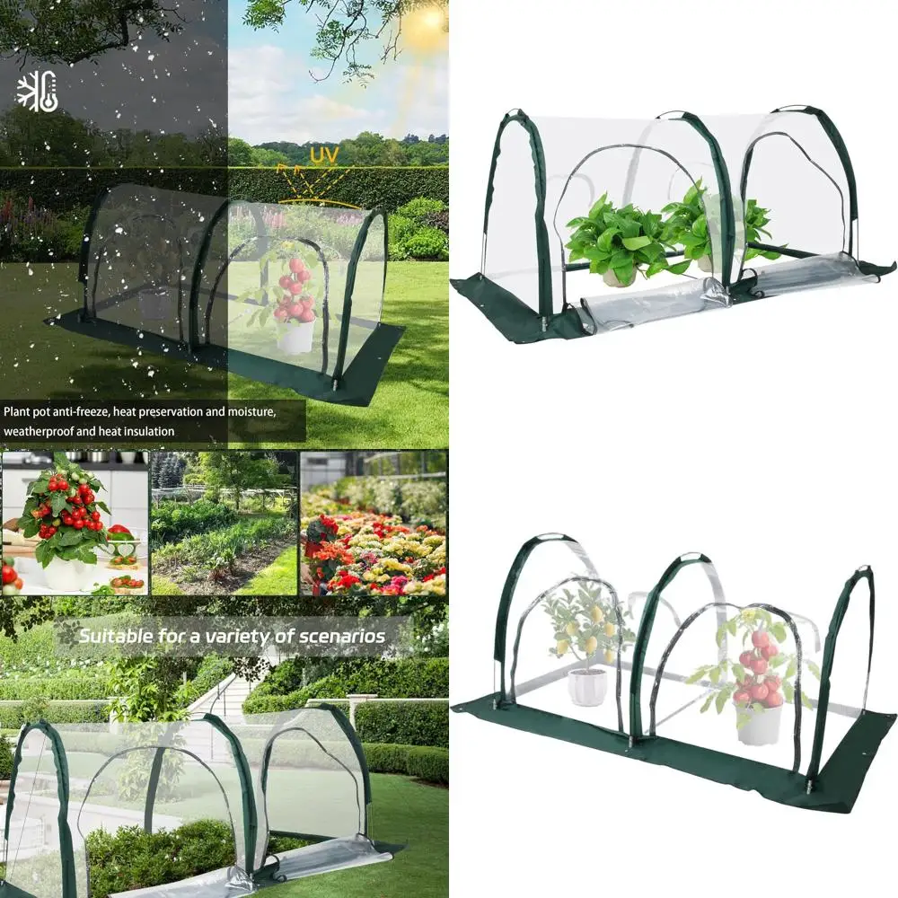 

Компактная мини-теплица для садоводства на заднем дворе и выращивания овощей