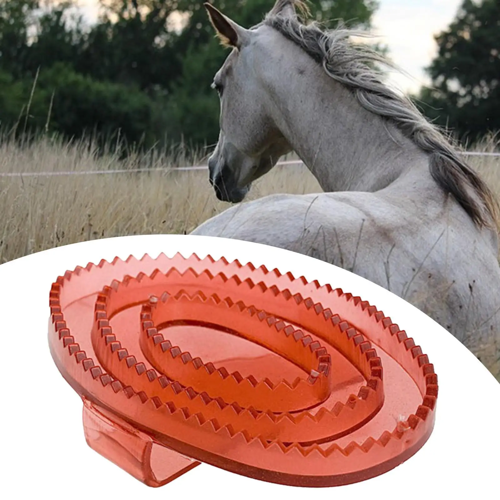 Equine Grooming Massage Curry Brush PVC Soft Rubber Body Scrubber Horse Tool Kit Keyword for Horse Cleaning Set view 4